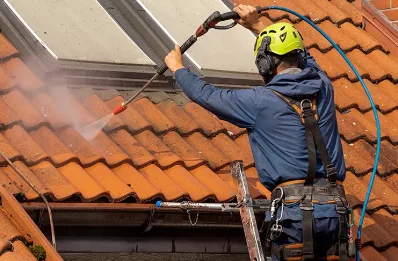 Démoussage et hydrofuge de toiture à la Villedieu-en-Fontenette